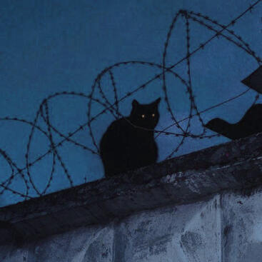 gato negro
